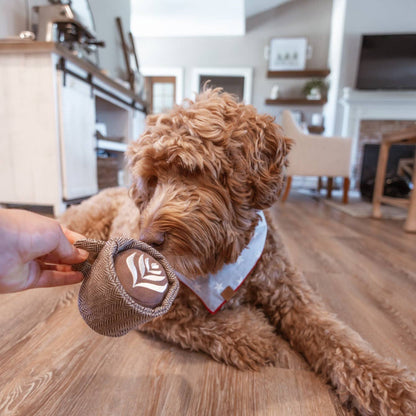 LATTE POP/ ENRICHMENT TOY SET// SNUFFLE TOY