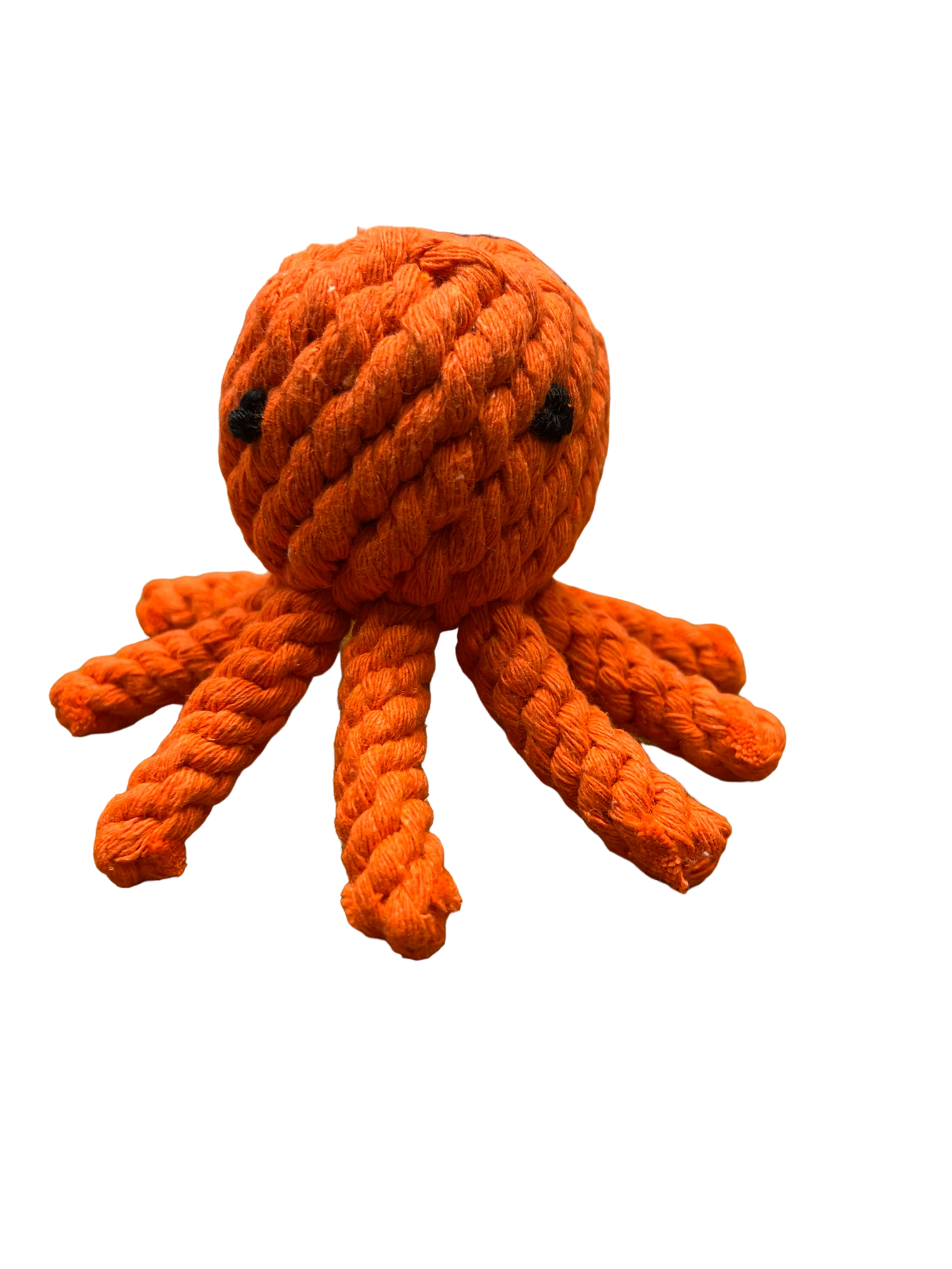 Easter Octopus