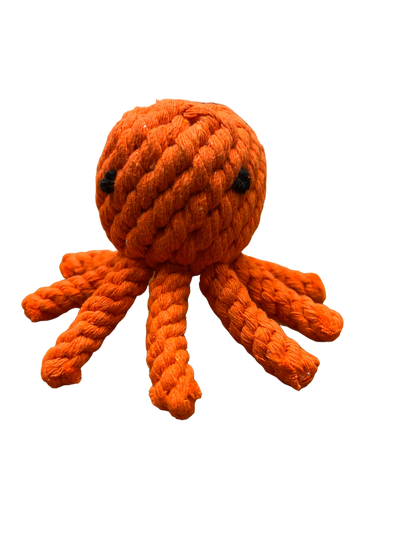 Easter Octopus