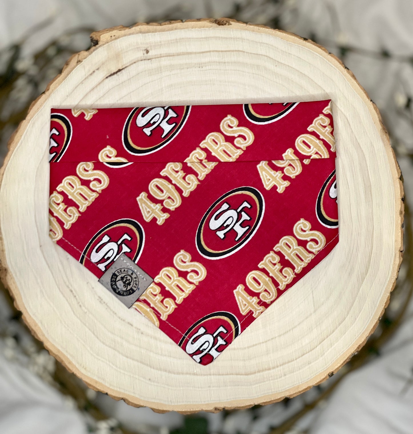 SF 49ers